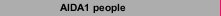 AIDA1 people