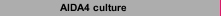 AIDA4 culture